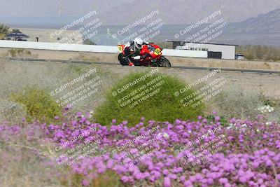 media/Feb-04-2023-SoCal Trackdays (Sat) [[8a776bf2c3]]/Turn 15 Inside Blooming (1050am)/